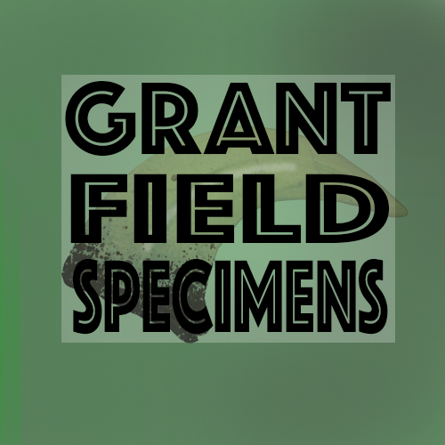 Grant. Field Specimens Logo